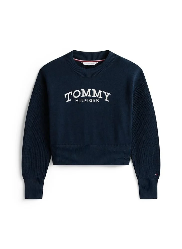 TOMMY HILFIGER Kids Logo Crew Neck Sweater