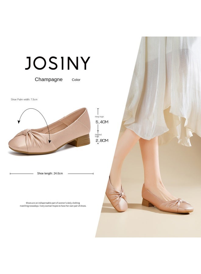 Josiny أحذية ماري جين الأنيقة للنساء، أحذية الصيف ذات ملمس راقي، كعب متين سهل الارتداء للراحة والاستخدام طوال اليوم، أحذية كاجوال ذات قطعة علوية منخفضة - Image 3