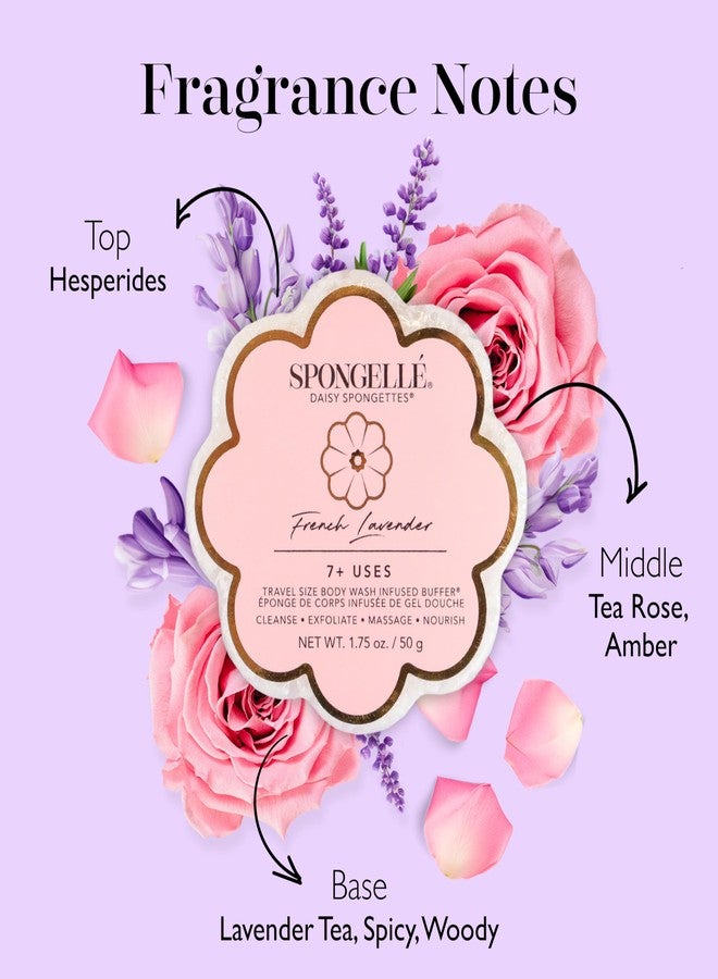 SPONGELLÉ Spongelle Daisy Spongette French Lavender - Image 3