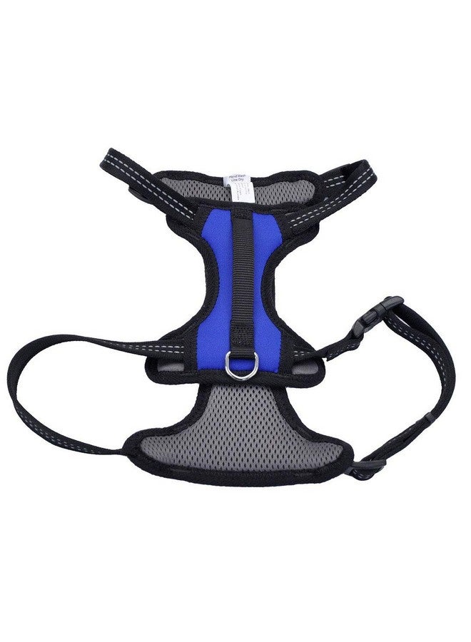 كوستال حزام تحكم عاكس من كوستال بيت - حزام عاكس للكلاب - مريح - سهل التحكم - تصميم سهل الارتداء والخلع - معدات أمان للكلاب - أزرق، محيط: 20-30 بوصة × رقبة: 12-18 بوصة - Image 1
