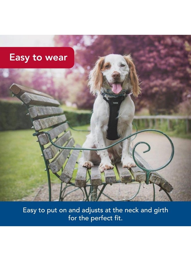 كوستال حزام تحكم عاكس من كوستال بيت - حزام عاكس للكلاب - مريح - سهل التحكم - تصميم سهل الارتداء والخلع - معدات أمان للكلاب - أزرق، محيط: 20-30 بوصة × رقبة: 12-18 بوصة - Image 4