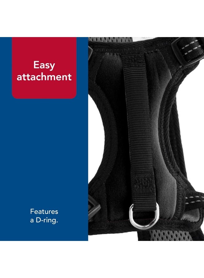 كوستال حزام تحكم عاكس من كوستال بيت - حزام عاكس للكلاب - مريح - سهل التحكم - تصميم سهل الارتداء والخلع - معدات أمان للكلاب - أزرق، محيط: 20-30 بوصة × رقبة: 12-18 بوصة - Image 5