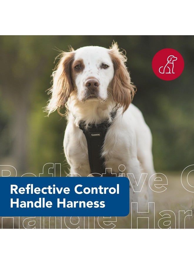 كوستال حزام تحكم عاكس من كوستال بيت - حزام عاكس للكلاب - مريح - سهل التحكم - تصميم سهل الارتداء والخلع - معدات أمان للكلاب - أزرق، محيط: 20-30 بوصة × رقبة: 12-18 بوصة - Image 2