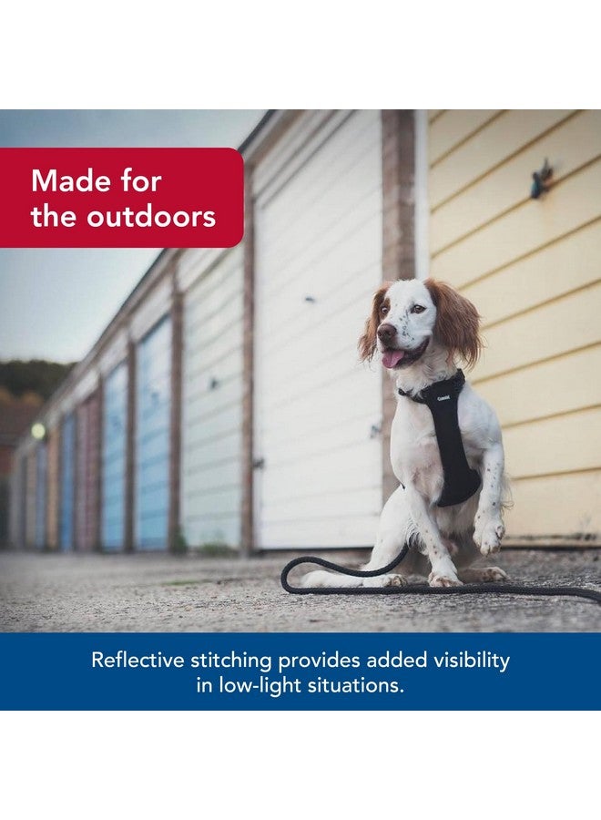 كوستال حزام تحكم عاكس من كوستال بيت - حزام عاكس للكلاب - مريح - سهل التحكم - تصميم سهل الارتداء والخلع - معدات أمان للكلاب - أزرق، محيط: 20-30 بوصة × رقبة: 12-18 بوصة - Image 3