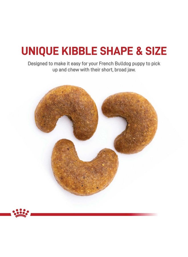 رويال كانين طعام كلاب جاف لجراء البولدوج الفرنسي، كيس 10.5 رطل - Image 2