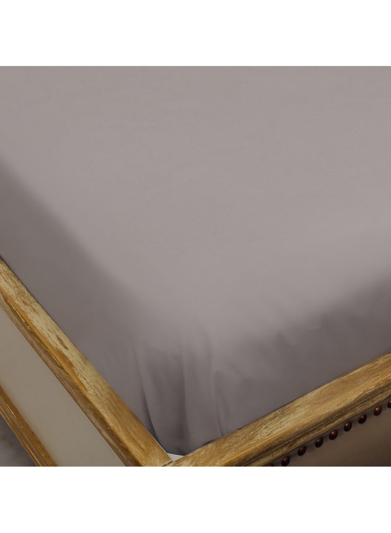 Home-Tex Design طقم ملاءات مسطحة مطبوعة مقاس كينج 100% من Hometex Design 3 قطع FERMANVILLE - 1 ملاءة مسطحة (240x260 سم) + 2 غطاء وسادة (50x80 سم) - Image 2