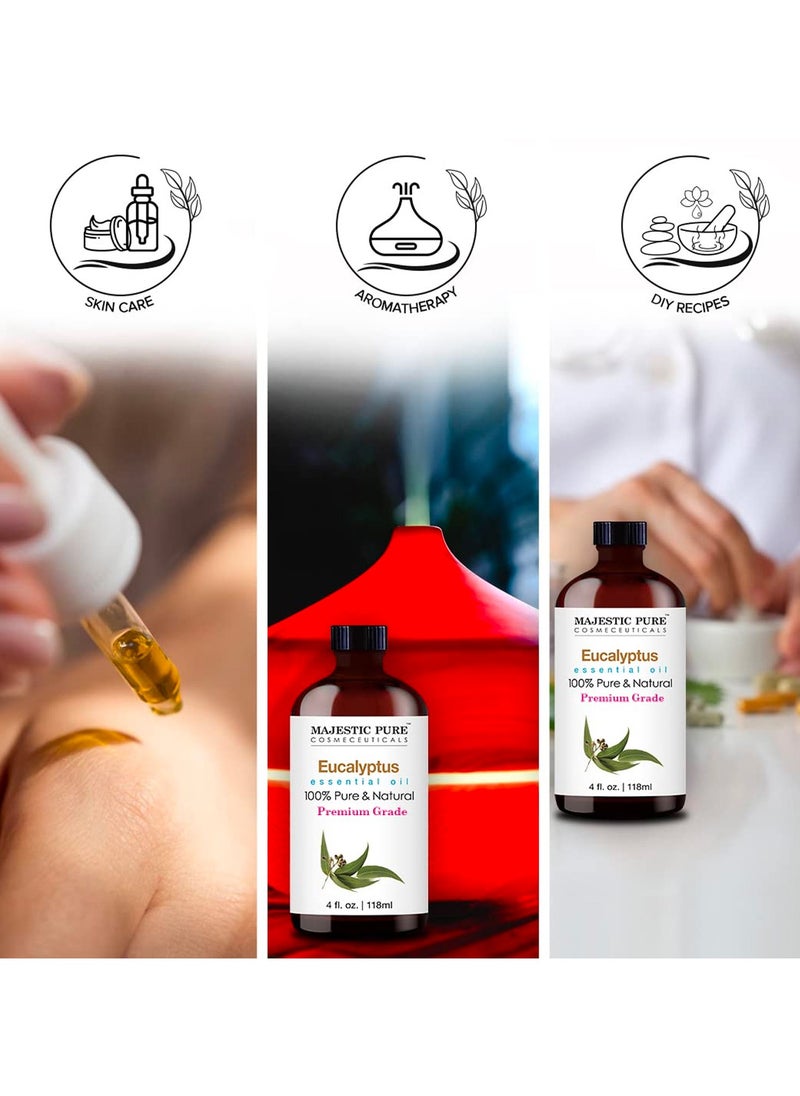 Eucalyptus Essential Oil - 118 ml | 100% Pure and Natural | Premium Grade Essential Oils for Aromatherapy, Diffusers, Skin, Massage and Humidifiers | - pzsku/Z3F56D83A768A7E927077Z/45/_/1720594483/2faa3428-148e-4f69-909c-ea6b4810efef