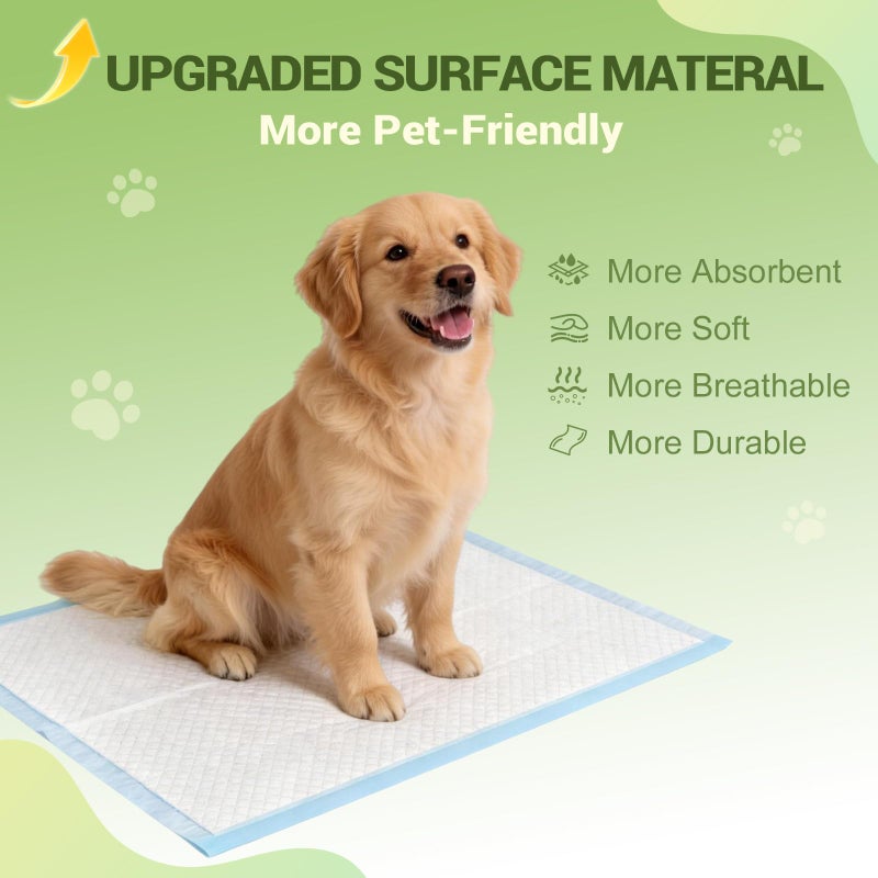 IMMCUTE 100 Count Premium Puppy Pads, 22"x23" Dog Pee Pads â€“ Ultra-Soft Heat-Sealed, 6-Layer Leak-Proof & Super Absorbent Potty Training Pads for Dogs, Cats, Pets | Crate Training & Indoor Use, Blue - Image 2