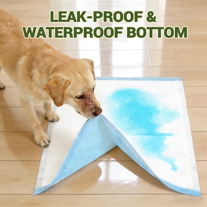 IMMCUTE 100 Count Premium Puppy Pads, 22"x23" Dog Pee Pads â€“ Ultra-Soft Heat-Sealed, 6-Layer Leak-Proof & Super Absorbent Potty Training Pads for Dogs, Cats, Pets | Crate Training & Indoor Use, Blue - Image 3