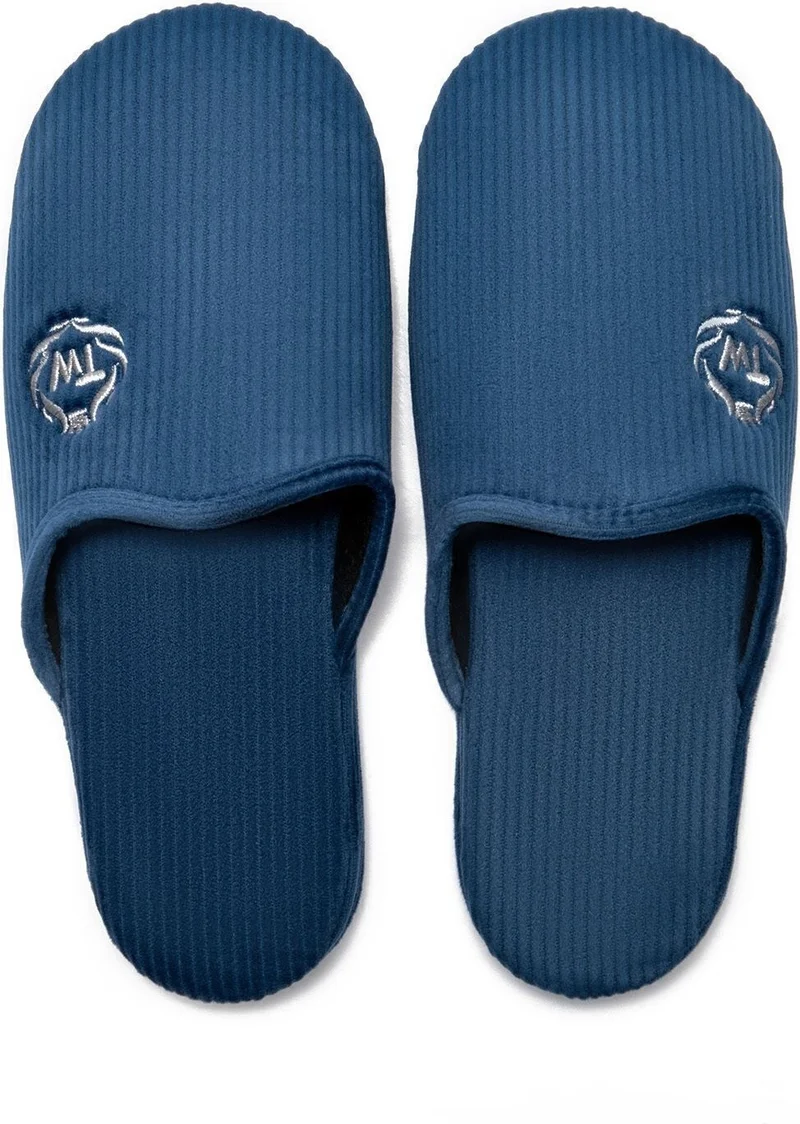 Twigy Muted Men's Home Slippers Blue 41/46 AA0464