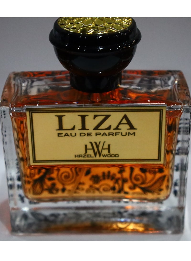 Misnad Hazel Wood Liza Eau de Parfum – 100ml | Long-Lasting, Elegant Fragrance | Floral & Woody Scent - Image 1