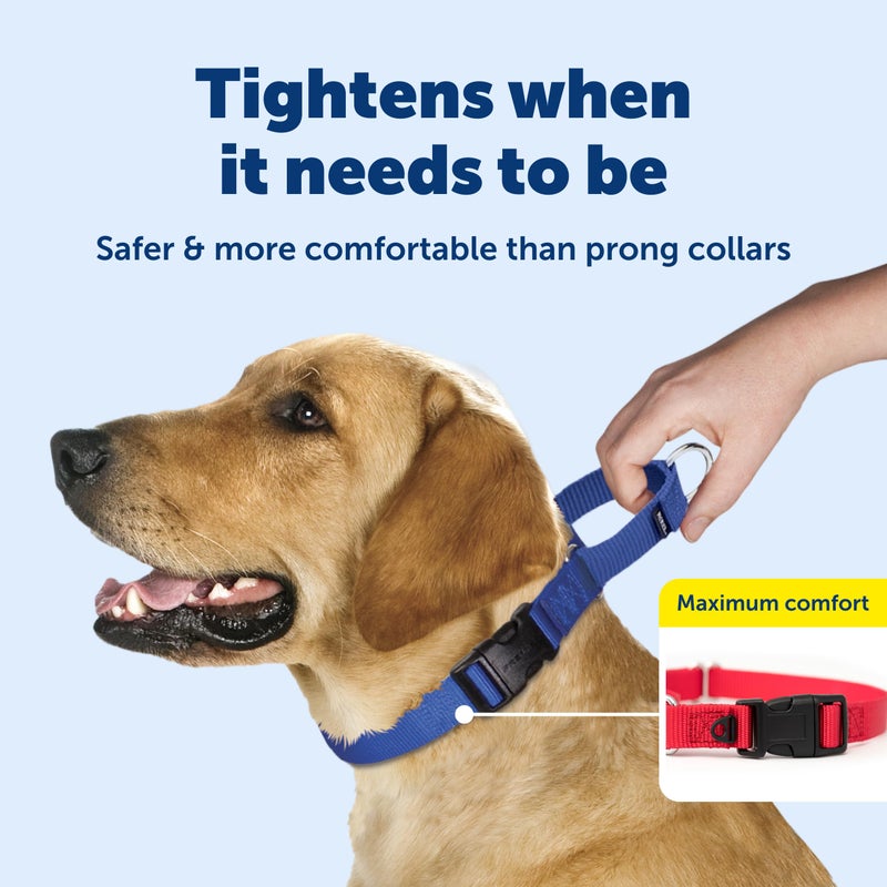 PetSafe Martingale Collar with Quick-Snap Buckle - Adjustable No-Slip Quick Release Dog Collar - Everyday Wear No-Pull Training Aid - 1" Wide - Large - Red - Image 3