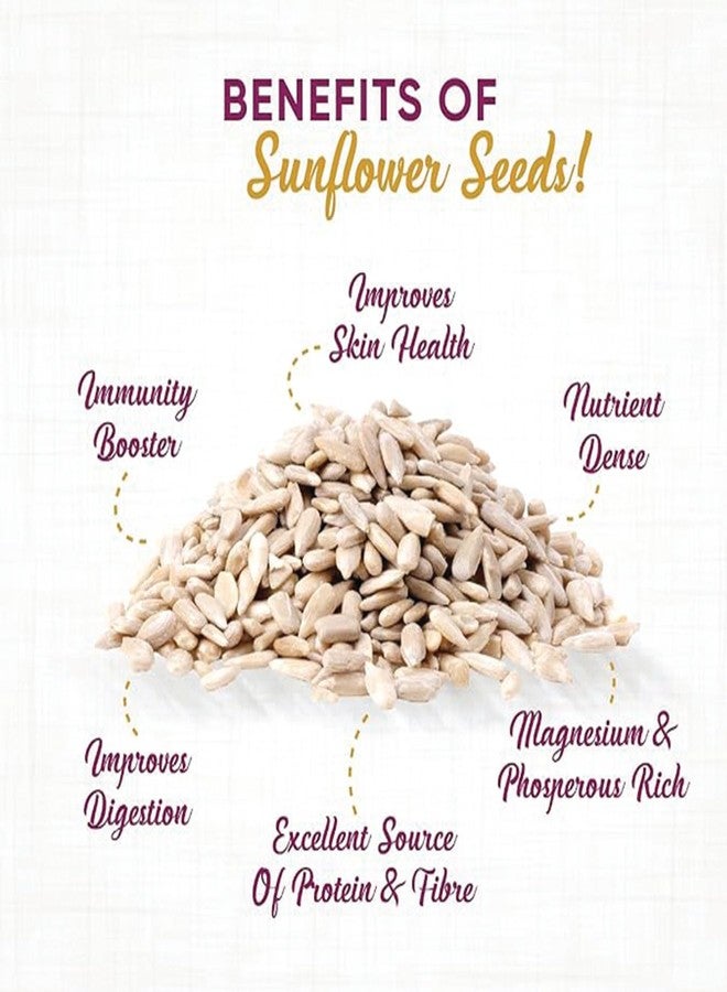 Brew Lab Premium Sunflower Seeds for Eating, Rich in Protein & Fiber (100 Gram) - Image 5