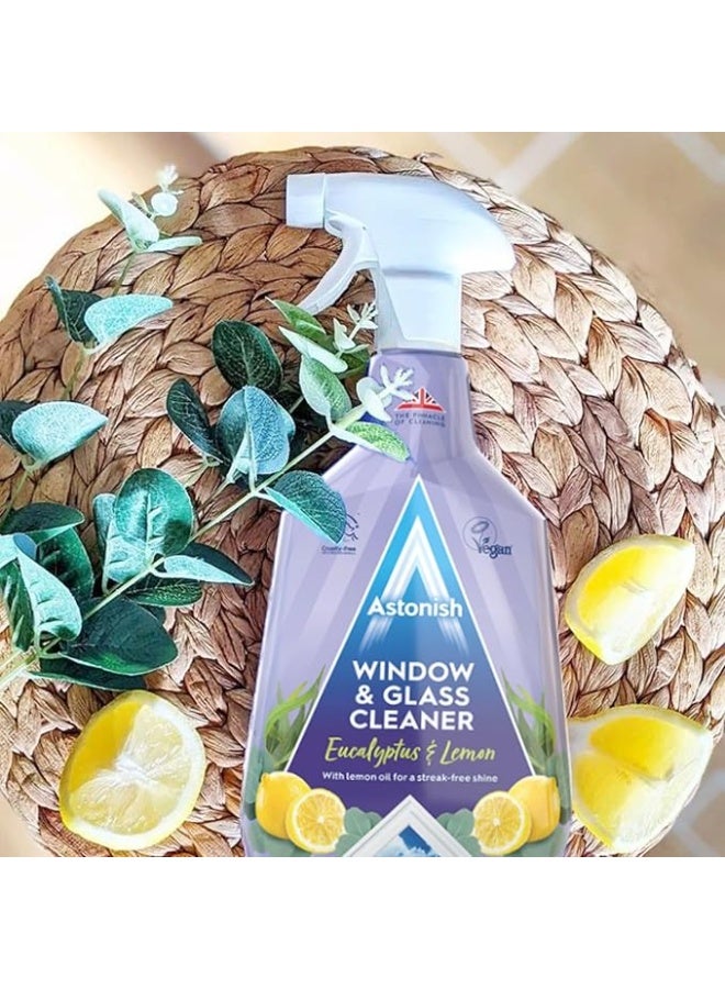 Astonish Window & Glass Cleaner 750 Ml- Twin Pack - Image 5