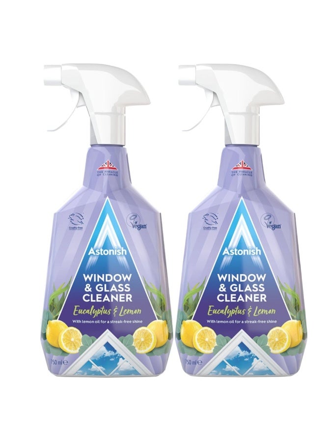 Astonish Window & Glass Cleaner 750 Ml- Twin Pack - Image 1
