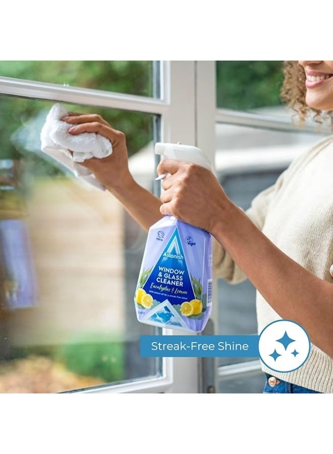 Astonish Window & Glass Cleaner 750 Ml- Twin Pack - Image 4