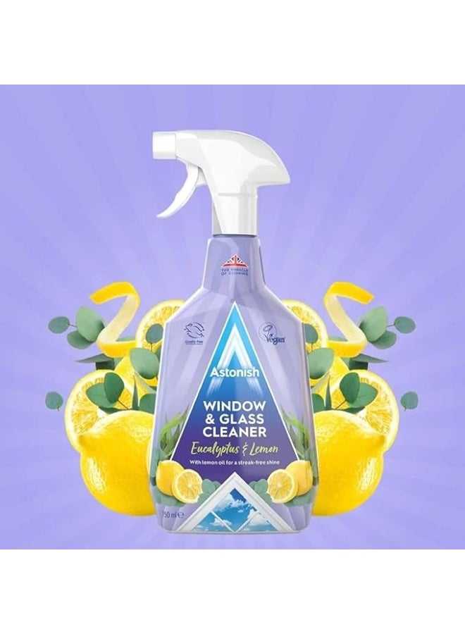 Astonish Window & Glass Cleaner 750 Ml- Twin Pack - Image 3