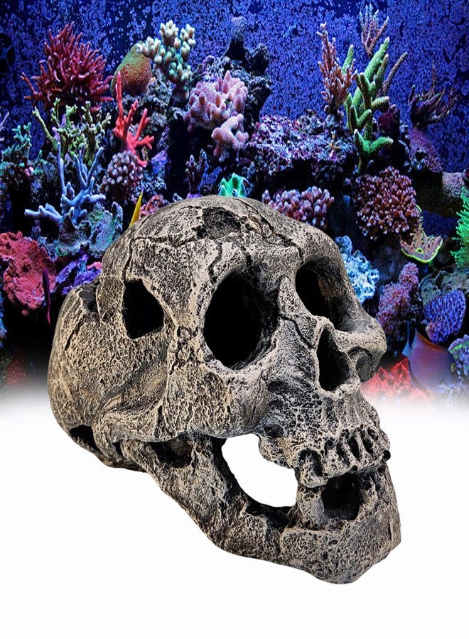 GIG BAZAAR- Aquarium Exotic Environments Human Skull for Shelter Caves Decoration Create a Cozy Hideaway for Your Aquatic Pets Decoration Ornament (Gray) - Image 1