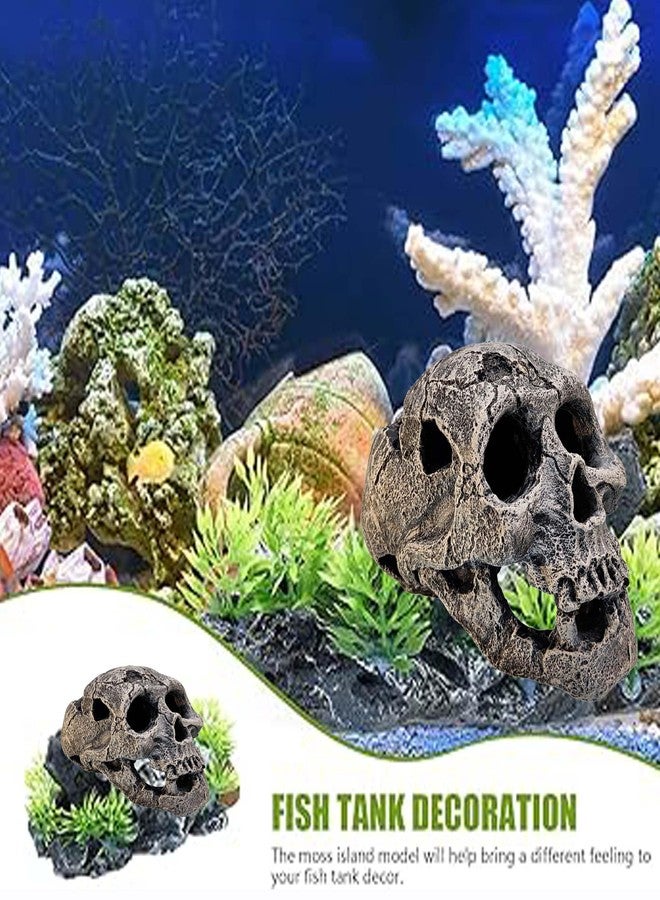 GIG BAZAAR- Aquarium Exotic Environments Human Skull for Shelter Caves Decoration Create a Cozy Hideaway for Your Aquatic Pets Decoration Ornament (Gray) - Image 3