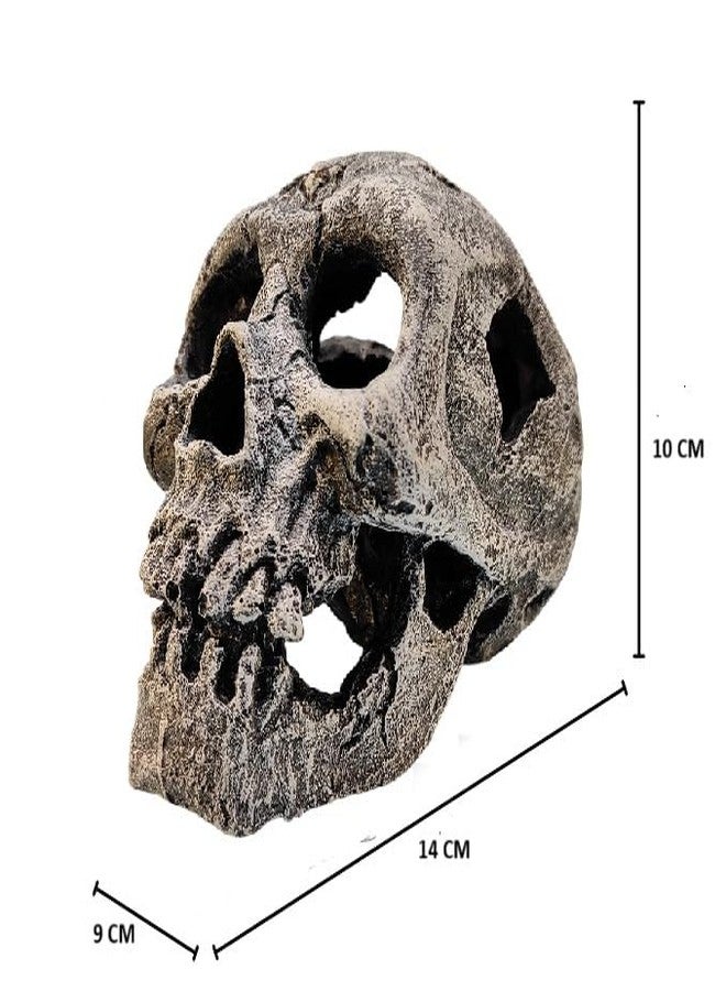 GIG BAZAAR- Aquarium Exotic Environments Human Skull for Shelter Caves Decoration Create a Cozy Hideaway for Your Aquatic Pets Decoration Ornament (Gray) - Image 2
