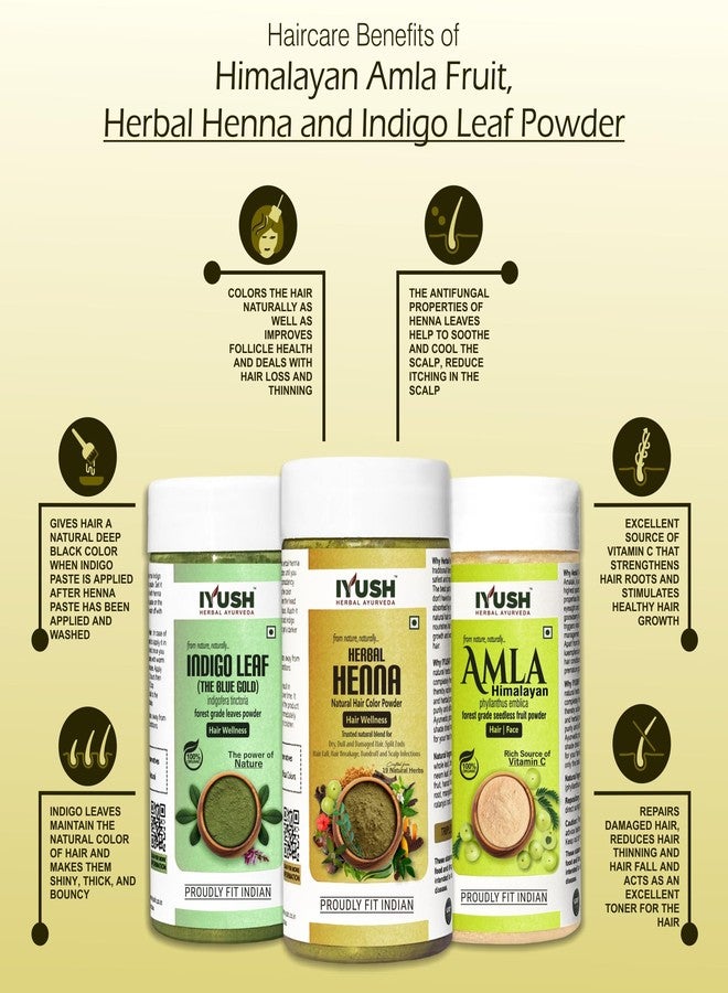 IYUSH Herbal Ayurveda Amla Powder with Indigo Powder for Hair and Herbal Henna Powder for Hair Colour - 750gm | Natural Hair Colour | Hair Mask for Dry and Frizzy Hair | Hair Volume Powder |250gm each - Image 3