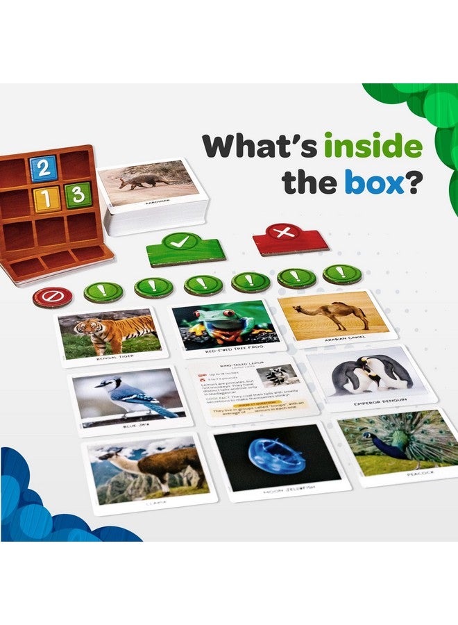 National Geographic: Secret Clue Animals - Card Game for Kids 7 & Up - Fun & Cooperative Board Games for The for Girls & Boys Ages 7, 8, 9, 10 - Image 2