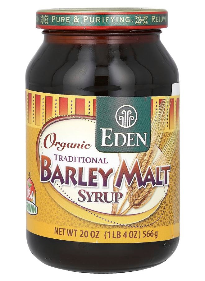 Organic Traditional Barley Malt Syrup 20 oz (566 g) - pzsku/Z3F63422FE09F7BD59061Z/45/_/1730032508/adad8138-ab3c-4f32-81f5-e61a7b8706f9