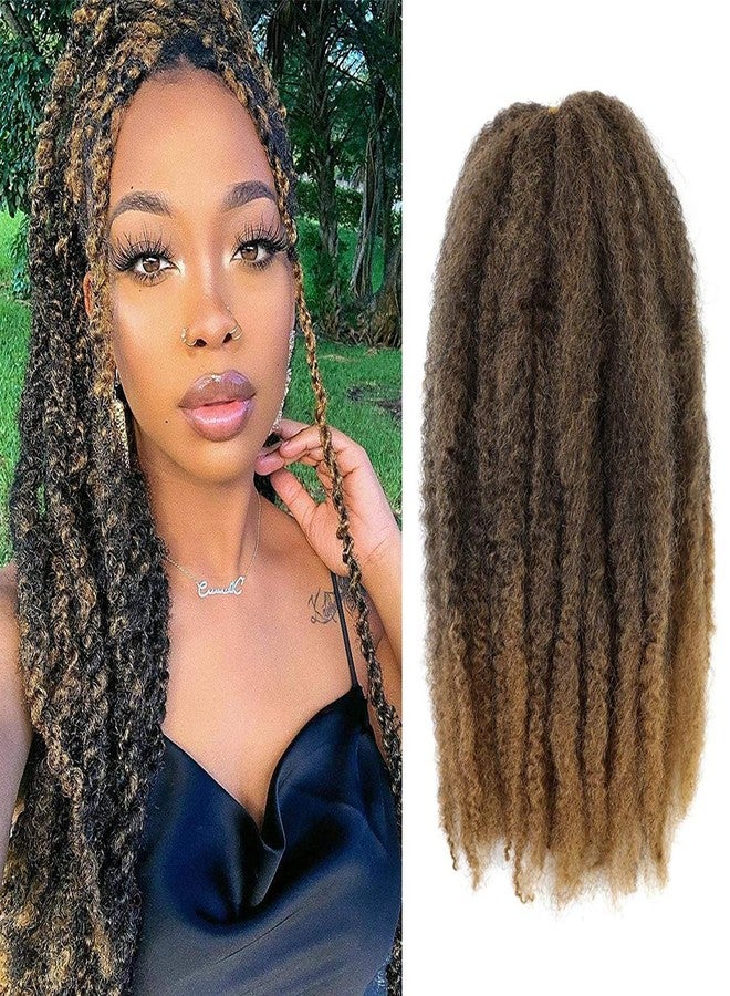 BAISAI Marley Hair 3 Packs 18 Inch Long Afro Kinky Marley Twist Braiding Hair Natural Synthetic Marley Hair for Twists Crochet Hair Extension 100g/pack(T27#) - Image 1