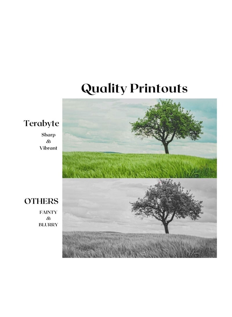 TERABYTE TONER CARTRIDGE TN3390/3360/3370/780 BLACK - Image 4