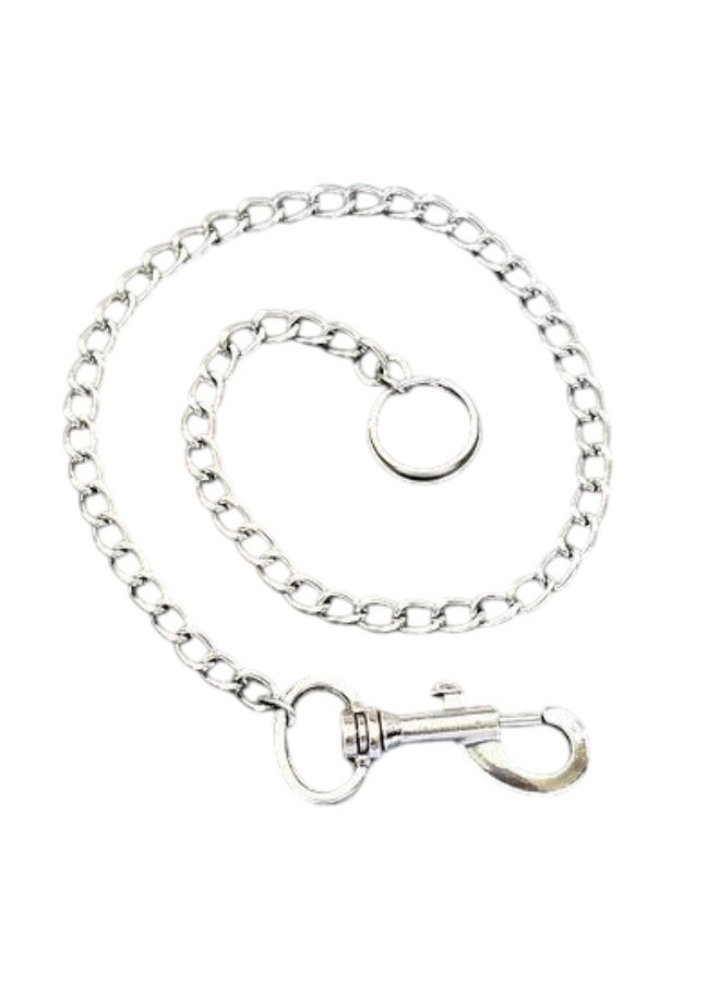 سلسلة مقود للكلاب، من الفولاذ المقاوم للصدأ، مقاس صغير