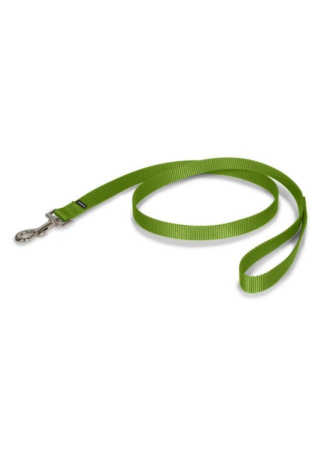 بيت سيف مقود الكلاب من النايلون من PetSafe - مقود قوي ومتين بتصميم تقليدي مع مشبك سهل الاستخدام - 3/4 بوصة × 6 أقدام، لون أخضر تفاحي - Image 1