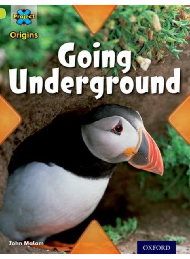 Project X Origins Lime Book Band Oxford Level 11 Underground Going Underground - Paperback