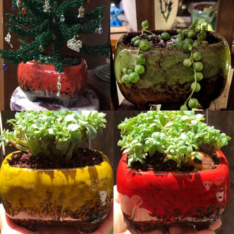 ARTKETTY Succulent Pots - 4.7 Inch Ceramic Succulent Planters Pots with Drainage Set of 5, Rectangular Bonsai Pots with Bamboo Trays Small Pots for Indoor Cactus Flower Plants for Home Office Decor - Image 5