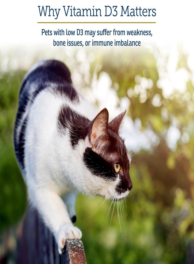 ركس فيتامينز فيتامينات آر إكس آر إكس دي 3 - فيتامينات سائلة للقطط والكلاب، قطرات دي 3 في زيت إم سي تي - فيتامين دي للكلاب والقطط لعلاج النقص - يساعد في دعم مناعة الكلاب وامتصاص الكالسيوم - فيتامين دي 3 للحيوانات الأليفة - 2 أونصة - Image 4