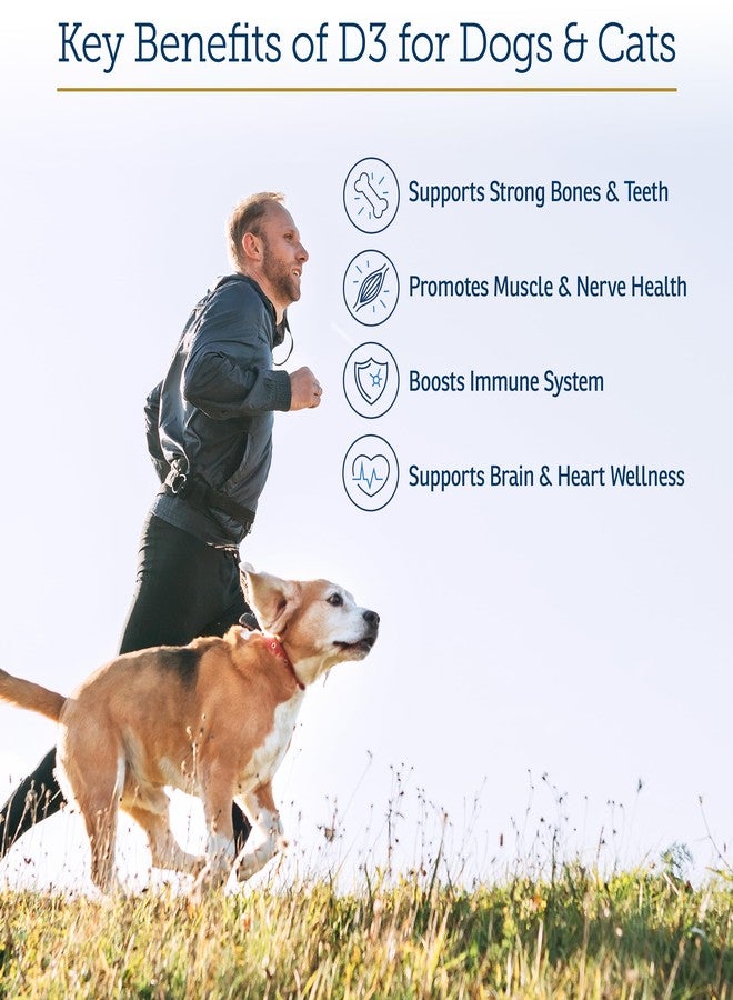 ركس فيتامينز فيتامينات آر إكس آر إكس دي 3 - فيتامينات سائلة للقطط والكلاب، قطرات دي 3 في زيت إم سي تي - فيتامين دي للكلاب والقطط لعلاج النقص - يساعد في دعم مناعة الكلاب وامتصاص الكالسيوم - فيتامين دي 3 للحيوانات الأليفة - 2 أونصة - Image 3