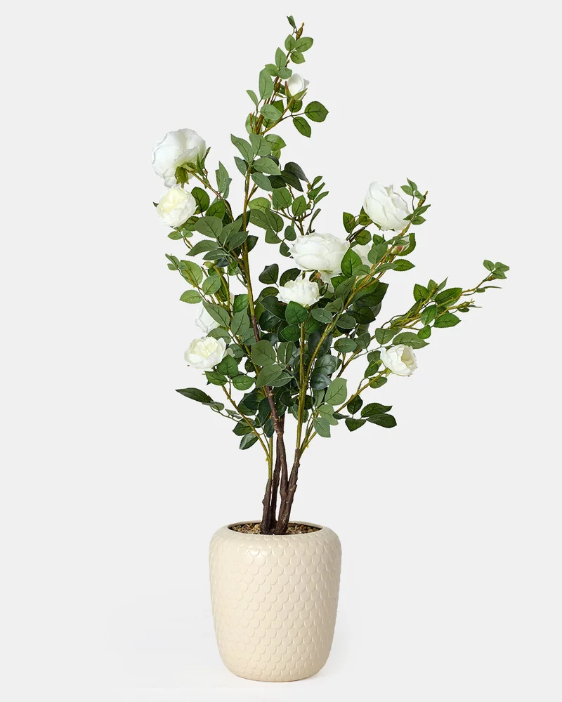 Redtag White and Green Artificial in Ceramic Pot