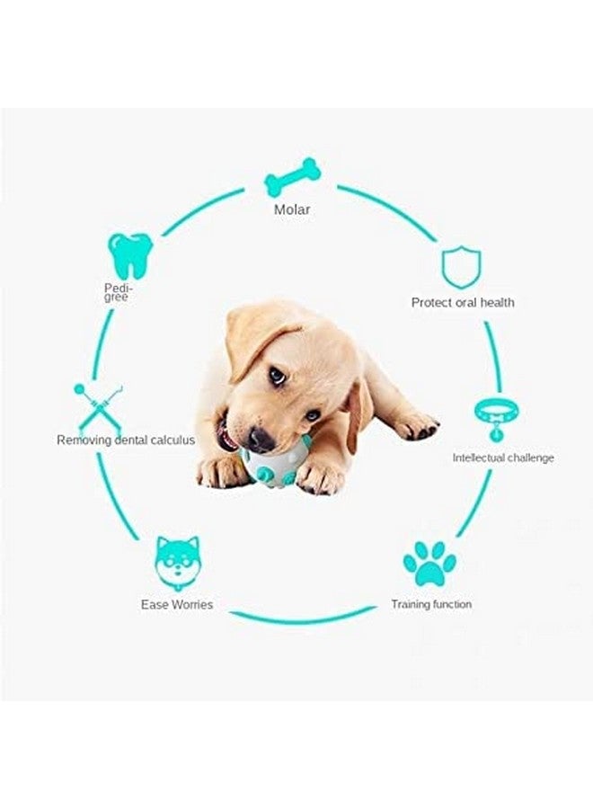 Dog Molar Stick Toy Chewing Resistant Toothbrush Dog Toy Interactive Dog Puzzle Spherical Shaped Chew Balls - (Color As Per Availability) - Image 3