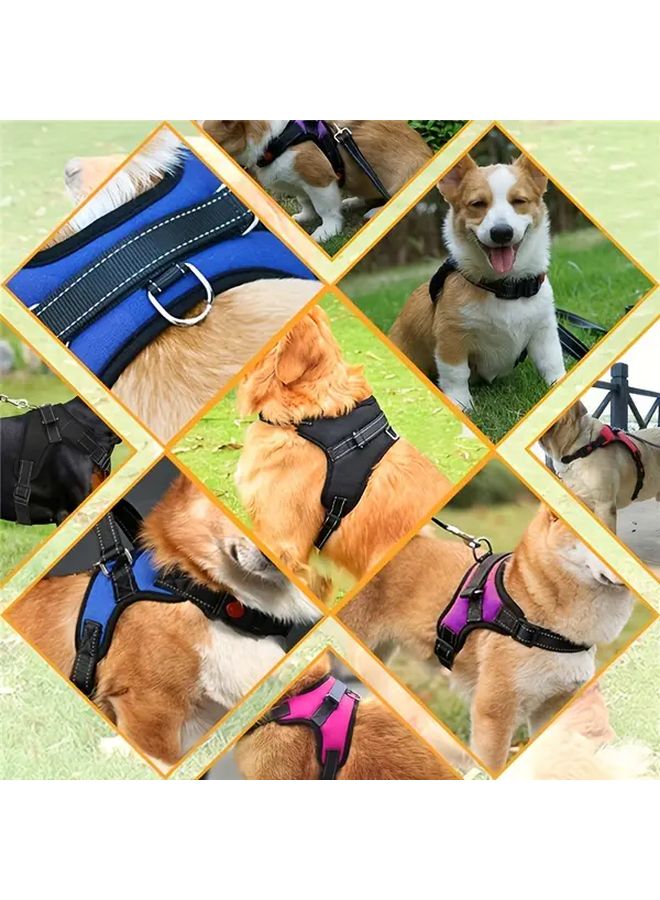 اللون الأزرق الملكي مقاس إكس لار، حزام كلب عاكس قابل للتعديل بمقبض وبدون شد - Image 4