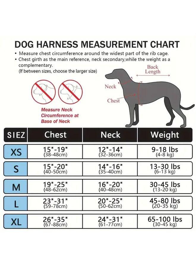 اللون الأزرق الملكي مقاس إكس لار، حزام كلب عاكس قابل للتعديل بمقبض وبدون شد - Image 3