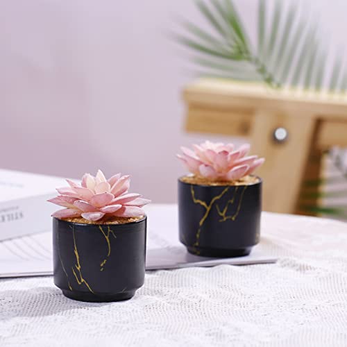 ZENIDA Succulent Artificial Plants,Cute Fake Succulents in 2 Black Ceramic Pots,Small Fake Plants for Office,Table,Desk,Bathroom, Bedroom,Aesthetic Room Shelves Decor,Desk Decorations for Women Office - Image 2