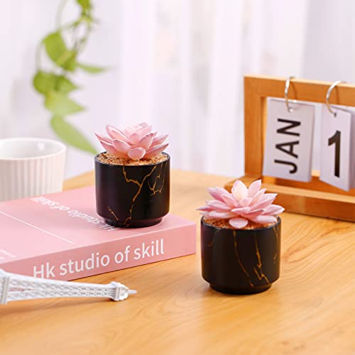 ZENIDA Succulent Artificial Plants,Cute Fake Succulents in 2 Black Ceramic Pots,Small Fake Plants for Office,Table,Desk,Bathroom, Bedroom,Aesthetic Room Shelves Decor,Desk Decorations for Women Office - Image 4