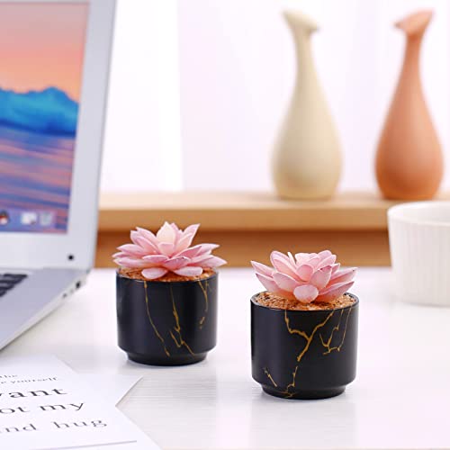 ZENIDA Succulent Artificial Plants,Cute Fake Succulents in 2 Black Ceramic Pots,Small Fake Plants for Office,Table,Desk,Bathroom, Bedroom,Aesthetic Room Shelves Decor,Desk Decorations for Women Office - Image 5
