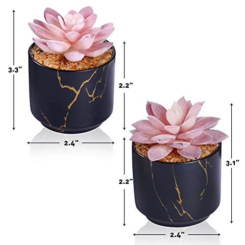 ZENIDA Succulent Artificial Plants,Cute Fake Succulents in 2 Black Ceramic Pots,Small Fake Plants for Office,Table,Desk,Bathroom, Bedroom,Aesthetic Room Shelves Decor,Desk Decorations for Women Office - Image 3