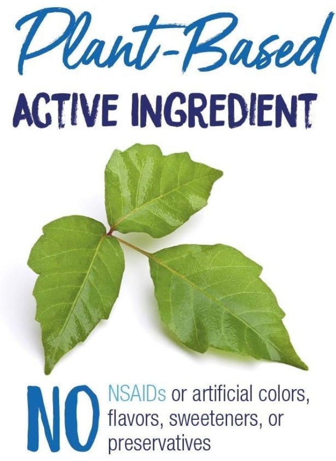 Boiron , Single Remedies, Rhus Toxicodendron, 30C, 80 Pellets  - Image 4