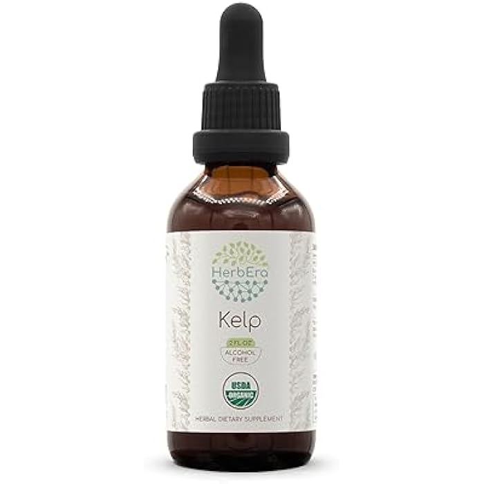 HerbEra Kelp B60 USDA Organic Tincture | Alcohol-Free Extract, High-Potency Herbal Drops | Certified Organic Kelp (Ascophyllum nodosum) Dried Plant (2 oz) - Image 1