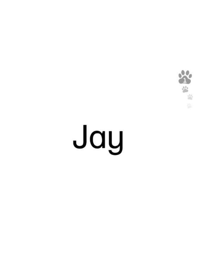 Macmillan Tiger Time -  English Course for Schools -level 2_Wordcards Book - Image 3