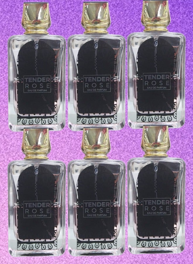 DEVIN 6 Pieces Tender Rose Perfume 100ml EDP - Image 1