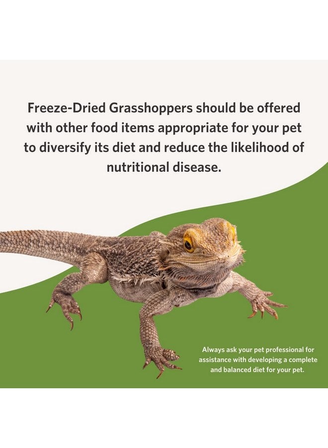 Fluker's Fluker's Freeze Dried Grasshoppers for Reptiles, Packed with Protein and Essential Nutrients, 1 lb. Value Pack - Image 5