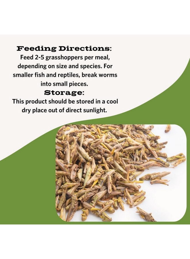 Fluker's Fluker's Freeze Dried Grasshoppers for Reptiles, Packed with Protein and Essential Nutrients, 1 lb. Value Pack - Image 3