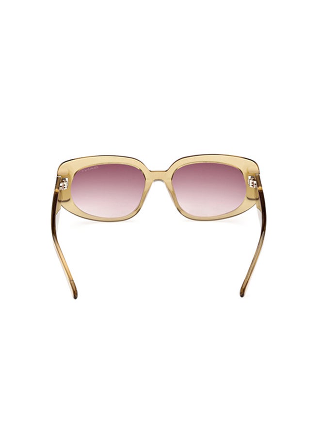 GANT Square Sunglasses For Women - Clear Brownn  - Image 5